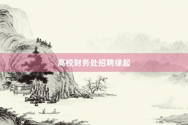 高校财务处招聘缘起