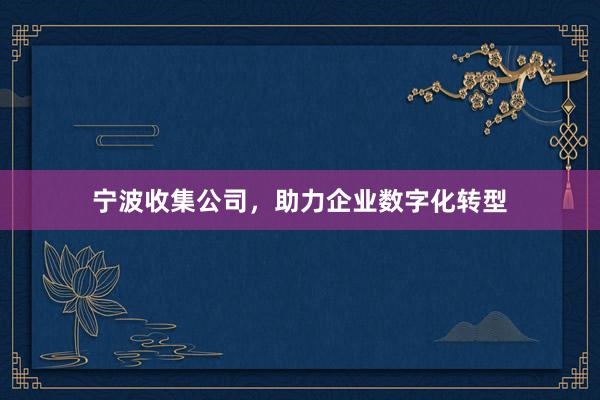 宁波收集公司，助力企业数字化转型