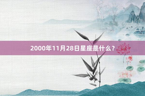 2000年11月28日星座是什么？