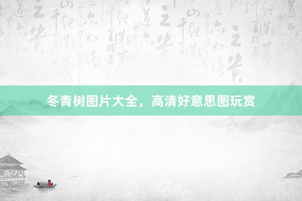 冬青树图片大全，高清好意思图玩赏