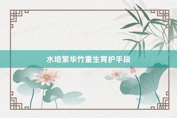 水培繁华竹重生育护手段