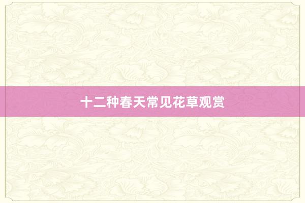十二种春天常见花草观赏