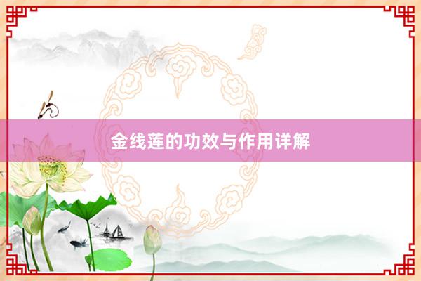 金线莲的功效与作用详解